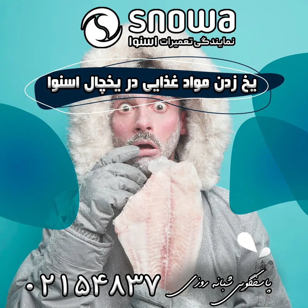 علت یخ زدن مواد غذایی در یخچال اسنوا