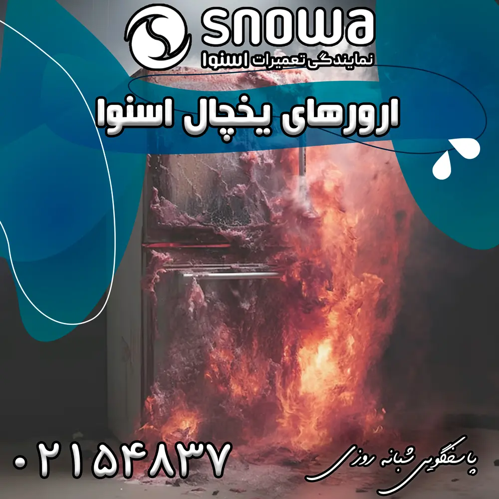 ارورهای یخچال اسنوا 