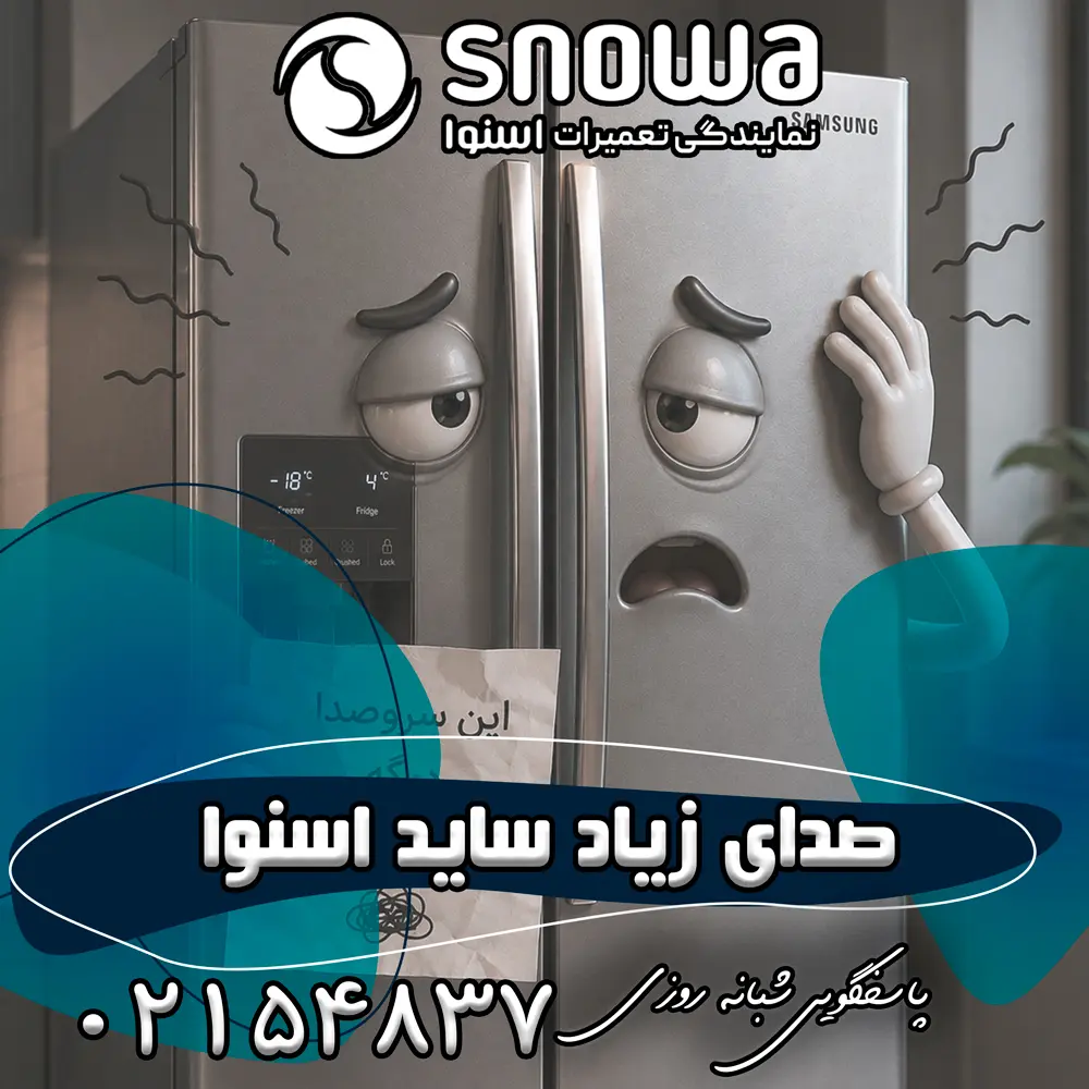 علت صدای زیاد ساید اسنوا