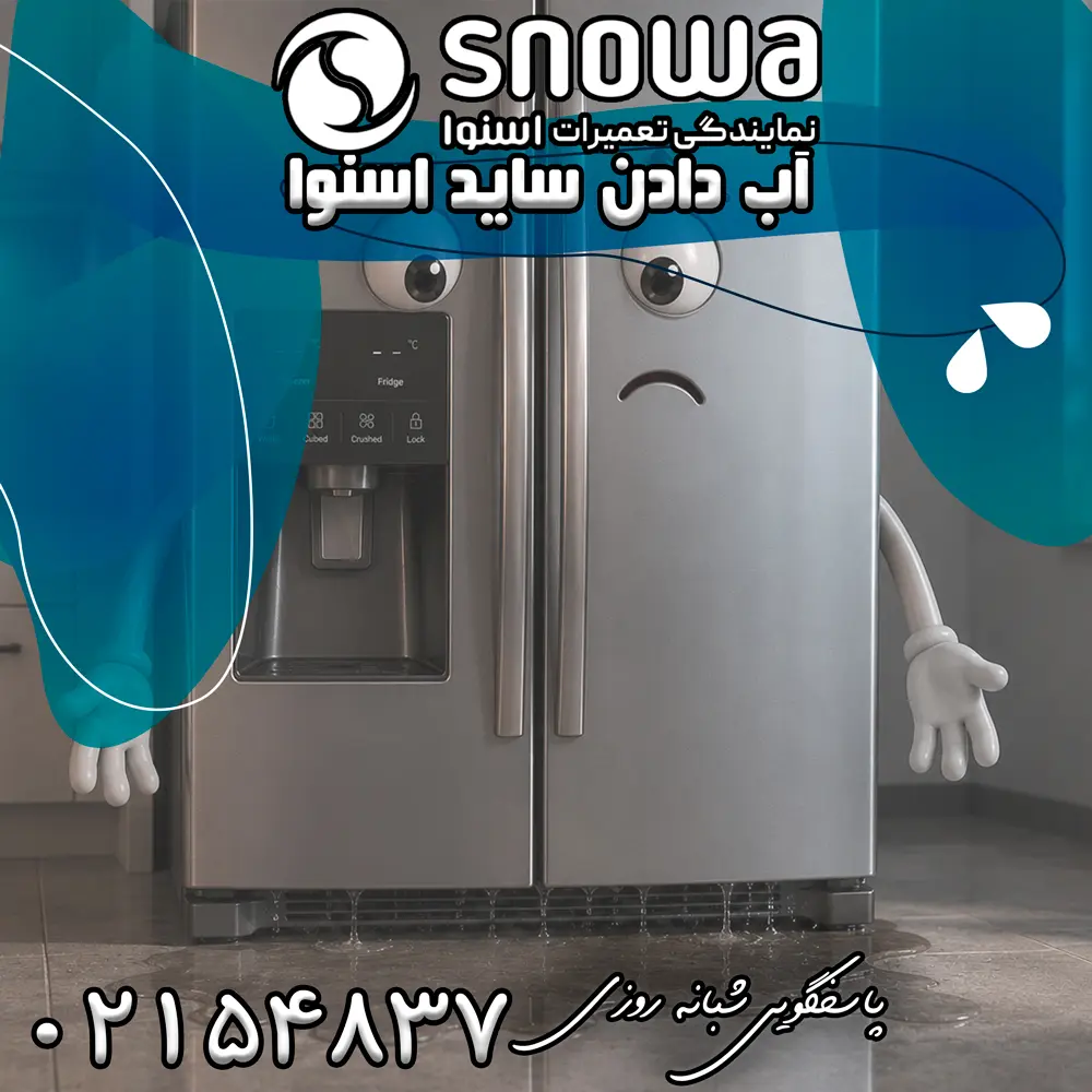 علت آب دادن ساید اسنوا 